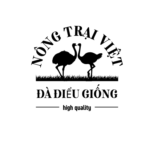 đối tác 6